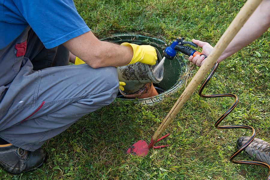 How to Keep Your Septic System Healthy Between Cleanings